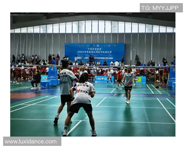 羽毛球的魅力之旅:深入南京羽毛球队的训练与比赛节奏 羽毛球的魅力之旅:深入南京羽毛球队的训练与比赛节奏