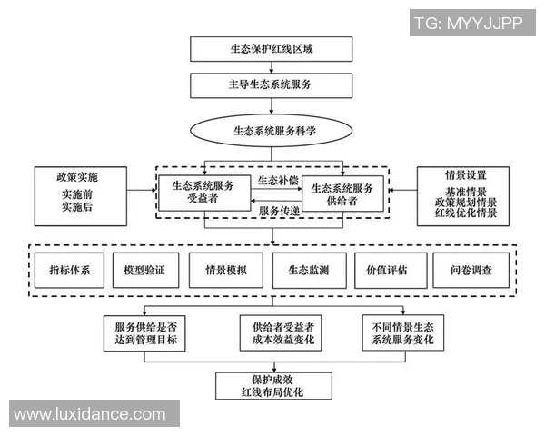 西安排球队边路渗透战术分析及其成效评估 西安排球队边路渗透战术分析及其成效评估