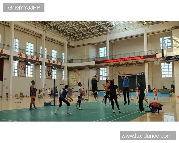 2026排球耐力排名：成都排球队创新高